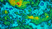 Pioneer-Venus radar map of the surface of Venus