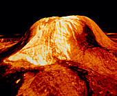 False-colour perspective view of Gula Mons,Venus