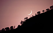 Crescent moon ,La Palma