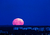 A distorted full Moon seen just above the horizon