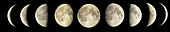 Phases of the moon