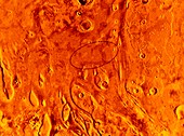 Viking Orbiter image of Pathfinder landing site