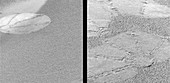 Mars rover airbag marks