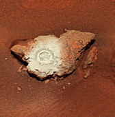 Bounce rock,Mars