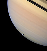 Transit of Rhea across Saturn