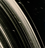 Voyager 2 image of the Uranian ring system