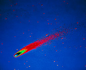 False-colour photograph of Comet Bennett