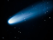 Comet Bennett