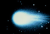 Optical CCD image of Comet DeVico
