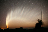 Comet McNaught,20th January 2007