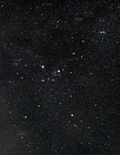 Comet Holmes in Perseus,November 2007