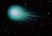 Head & tail of comet Hyakutake