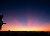 Crepuscular rays of light during sunset