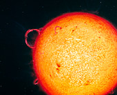 Artwork of whole sun with prominences & sunspots