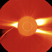 SOHO satellite image of comet near Sun