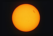 Optical image of the Sun showing a sunspot