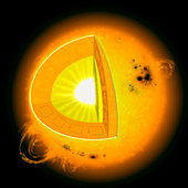 Artwork of a cutaway view of the Sun's interior