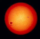 Sunspots on disc of Sun