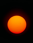 Solar disc showing sunspots