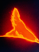 Optical photograph of a solar prominence