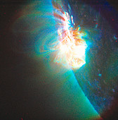 TRACE image of sun showing plasma loops
