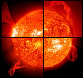 Four solar prominences