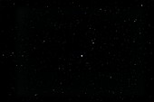 Optical photo of the constellation of Canis Minor