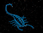 Scorpius,the scorpion,composite artwork & photo