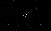 Photo of constellation of Taurus