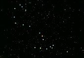 Photo of constellation of Scorpius
