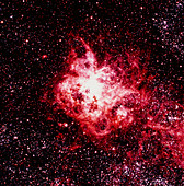Optical image of the Tarantula nebula in Dorado