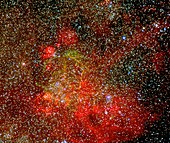 CCD optical image of the Gum nebula