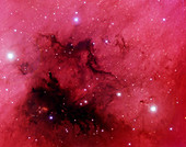 Dark nebulae