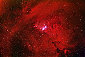 Emission nebulae in Monoceros