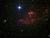 Emission nebulae IC 59 and IC 63