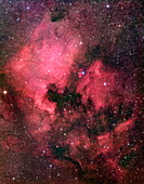 North America nebula
