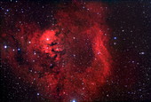 Emission nebula NGC 7822