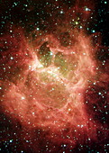 DR6 nebula