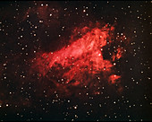 Swan nebula (M17)