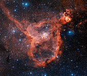 Emission nebula IC 1805