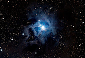 Iris nebula (NGC 7023)