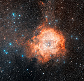 Rosette nebula (NGC 2237)