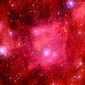Emission nebula IC 5068,optical image