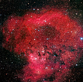 Emission nebulae NGC 7822 and Ced 214