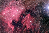 North America nebula and Pelican nebula