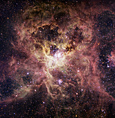 Tarantula nebula,optical image
