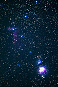 Orion Nebula and Horsehead Nebula