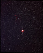 The Orion nebula