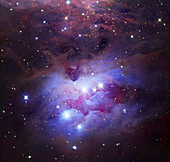 Reflection nebula (NGC 1977)