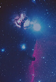Optical photograph of the Horsehead Nebula